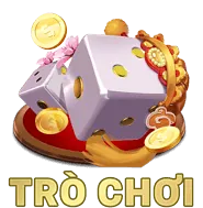 Phương thức thanh toán dagacam67